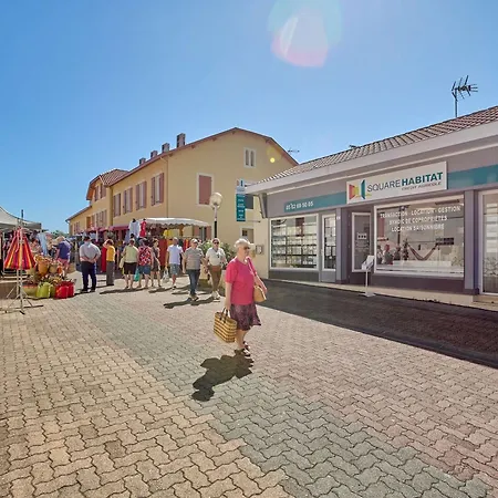 Apartman Lumineux Avec Climatisation Et Animaux Admis, - Fr-1-841-6