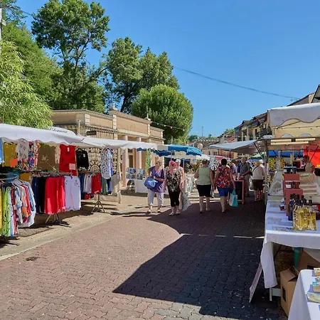 Lumineux Avec Climatisation Et Animaux Admis, - Fr-1-841-6