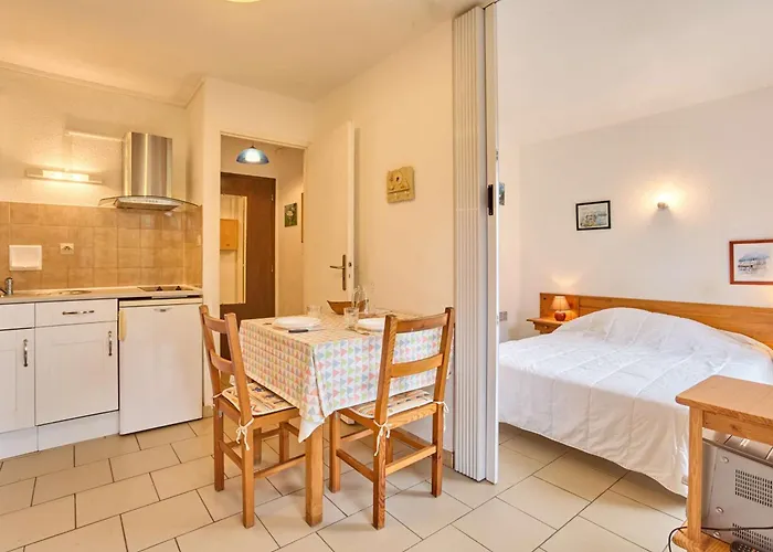 Lumineux Avec Climatisation Et Animaux Admis, - Fr-1-841-6 Apartment *