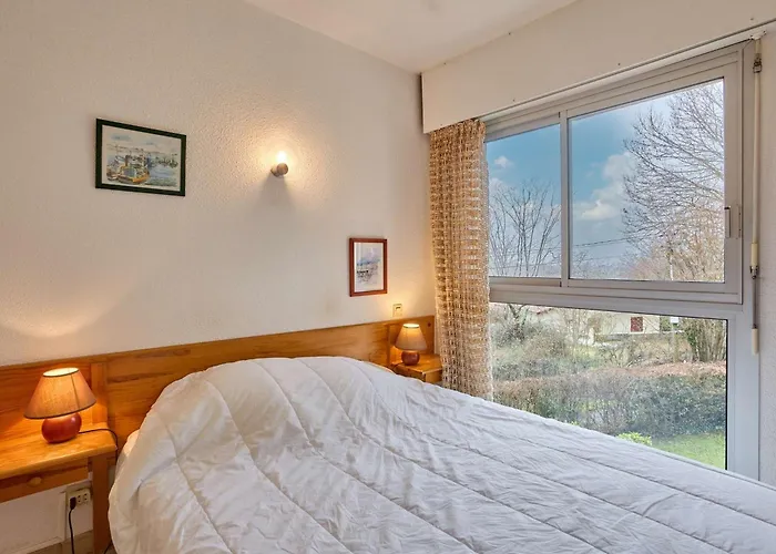 Lumineux Avec Climatisation Et Animaux Admis, - Fr-1-841-6