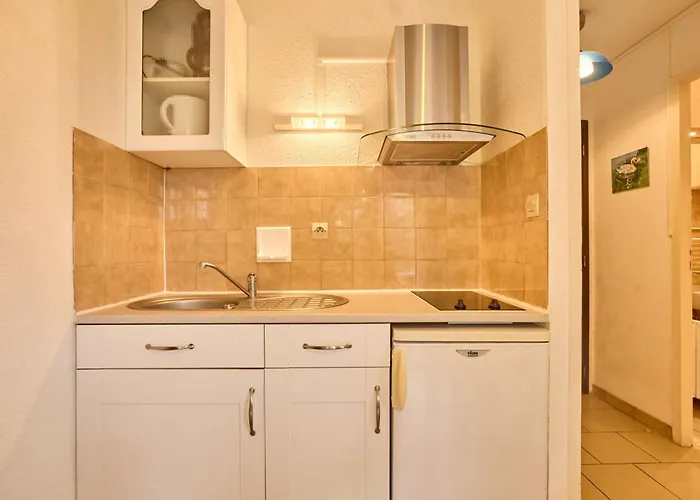 Apartment Lumineux Avec Climatisation Et Animaux Admis, - Fr-1-841-6