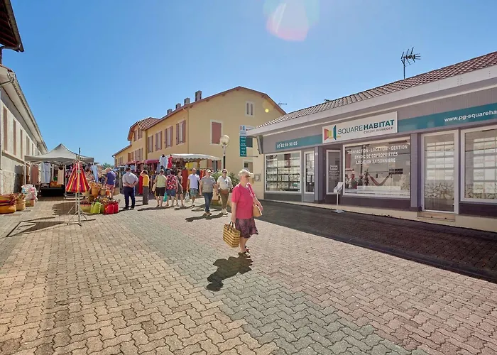 Apartamento Lumineux Avec Climatisation Et Animaux Admis, - Fr-1-841-6