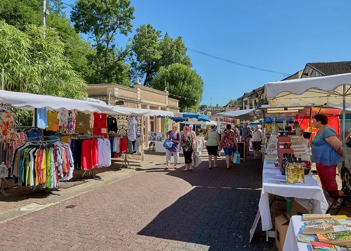 Lumineux Avec Climatisation Et Animaux Admis, - Fr-1-841-6